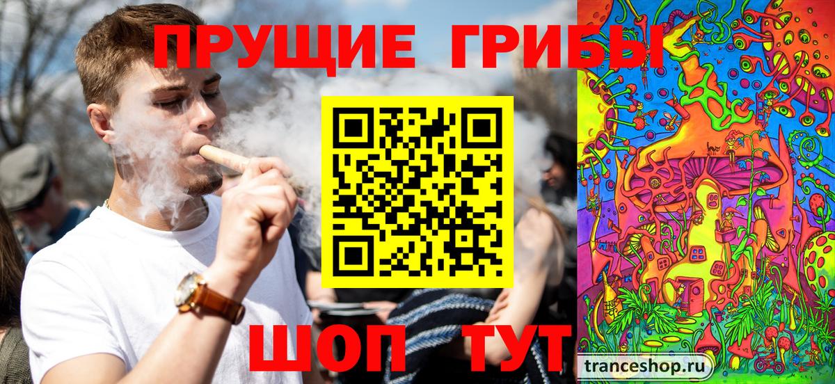 как найти закладки  Псилоцибиновые грибы ЛСД  Вход с VPN  Тулун 